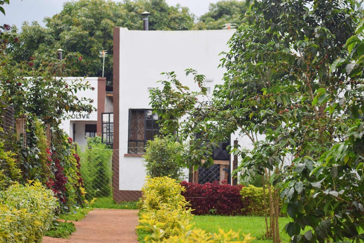 The Plantains Place Karatina Luaran gambar